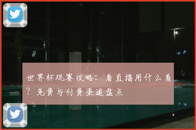 世界杯观赛攻略：看直播用什么看？免费与付费渠道盘点