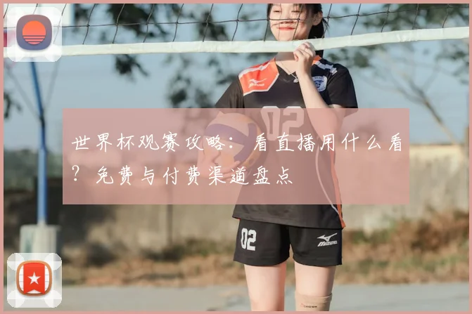 世界杯观赛攻略：看直播用什么看？免费与付费渠道盘点